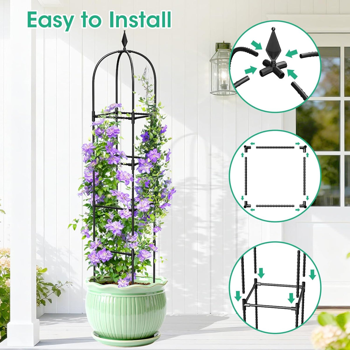 Metal Trellis for Climbing Plants