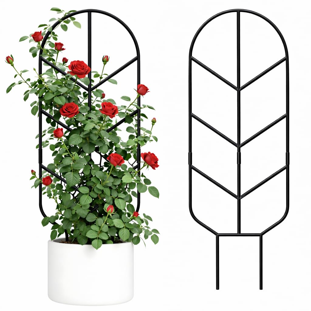 2 Pack 30'' Large Metal Plant Trellis for Climbing Plants, Tall Plant Support for Indoor & Outdoor Use, Modern Decorative Trellis for Potted Plants (2 Pack)
