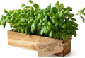 zaqro Indoor Planter Box Set of 2-17” x 4” Small Acacia Wood Window Sill Herb Planters - Rectangular Wooden Centerpiece Boxes with Liners - No Drain Holes - for Kitchen Tabletop Countertop