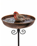 Small Metal Bird Bath for Outdoors, 10" Dia Bowl with Stake Birdbaths Garden Yard Lawn Decor 0.4 Gallon