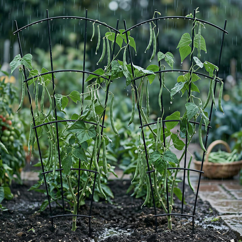Thealyn 4 Pack 43" Metal Plant Trellis for Pots & Garden Beds, Rustproof Support for Indoor Outdoor Climbing Plants, Vines, Flowers, Fan Shaped, Black