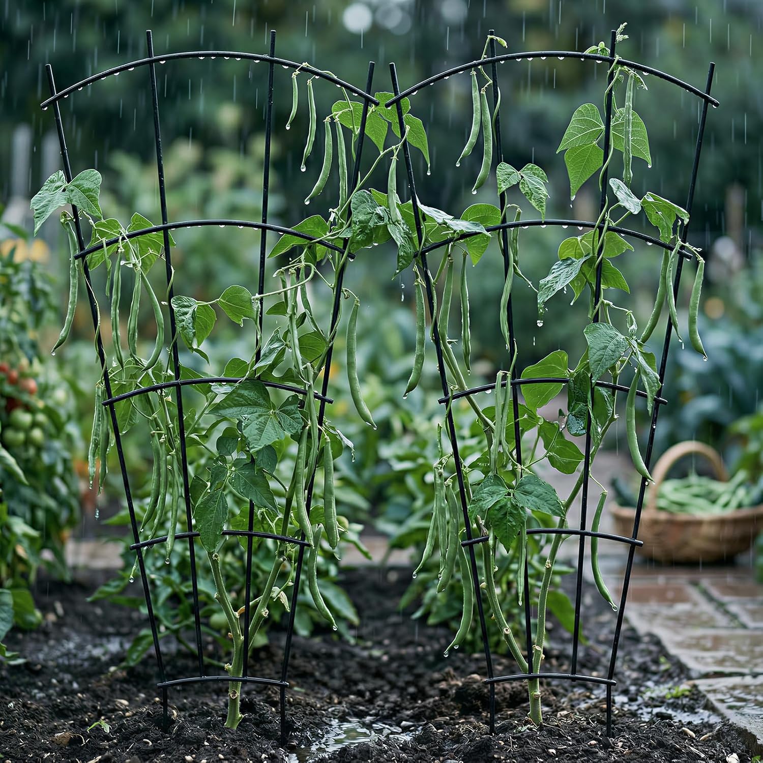 Thealyn 4 Pack 43" Metal Plant Trellis for Pots & Garden Beds, Rustproof Support for Indoor Outdoor Climbing Plants, Vines, Flowers, Fan Shaped, Black